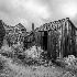 2bodie-8264-2 - ID: 15083408 © John S. Brown