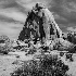 2joshua tree-2227 - ID: 15083462 © John S. Brown