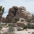 2joshua tree-2229 - ID: 15083463 © John S. Brown