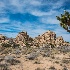 2joshua tree-2298 - ID: 15083466 © John S. Brown