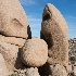 2joshua tree-2450 - ID: 15083469 © John S. Brown