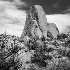 2joshua tree-2582 - ID: 15083472 © John S. Brown