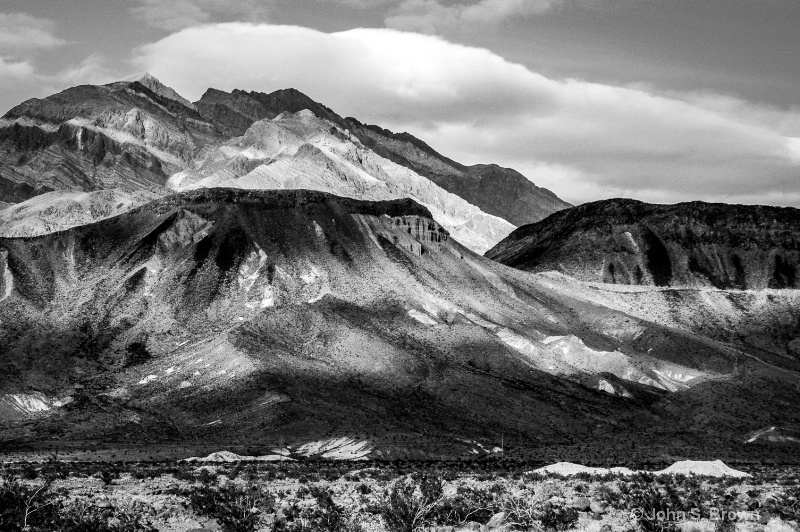 joshua tree-0086 - ID: 15083536 © John S. Brown