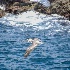 2point lobos113 - ID: 15083560 © John S. Brown