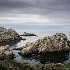 2point lobos- - ID: 15083561 © John S. Brown