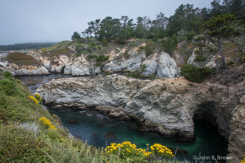 point lobos-9653 - ID: 15083564 © John S. Brown