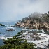 2point lobos-9426 - ID: 15083565 © John S. Brown