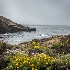 2point lobos-9273 - ID: 15083566 © John S. Brown