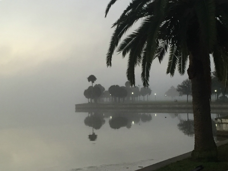 Foggy Morning on Tampa Bay