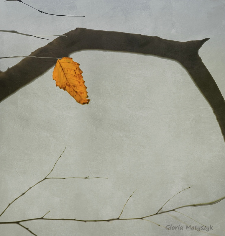 Simplicity: the last yellow leaf of fall. - ID: 15083973 © Gloria Matyszyk