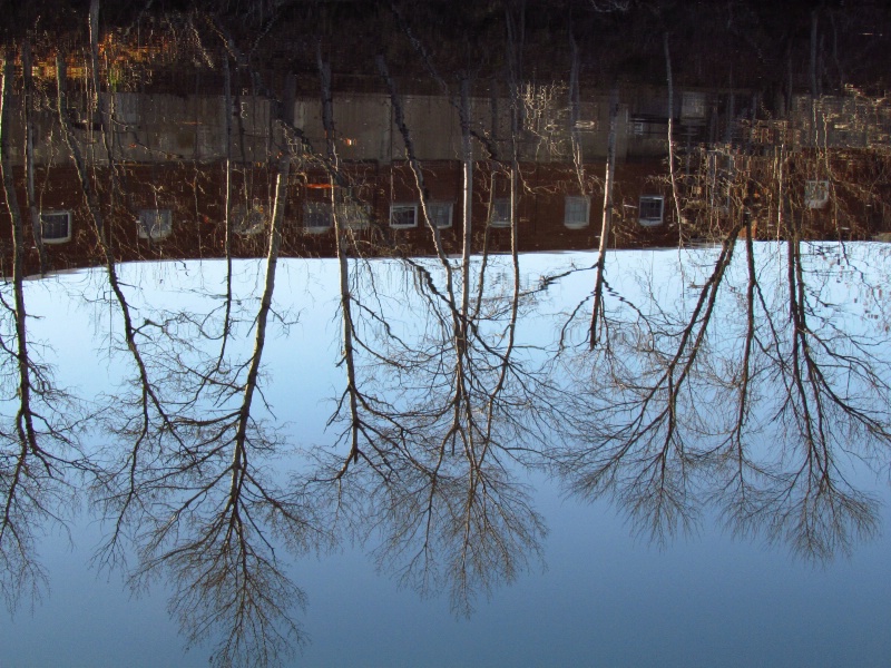 Upside Down - ID: 15084465 © Wendy A. Barrett