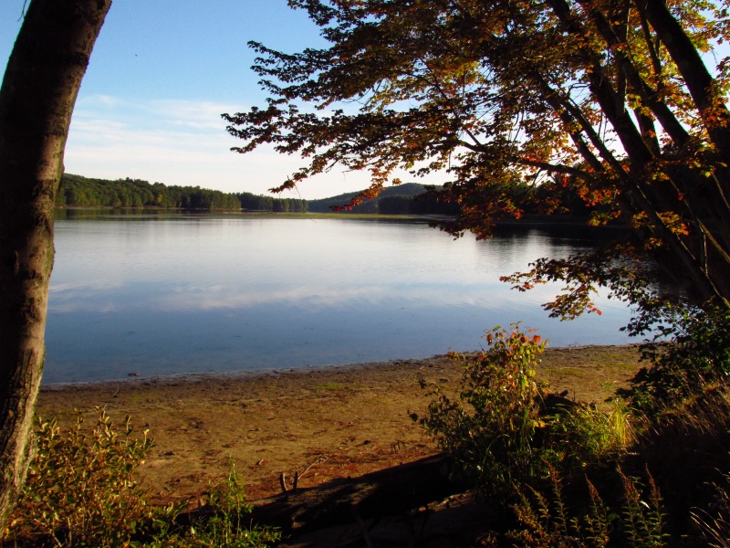 The Androscoggin at Turner - ID: 15084477 © Wendy A. Barrett