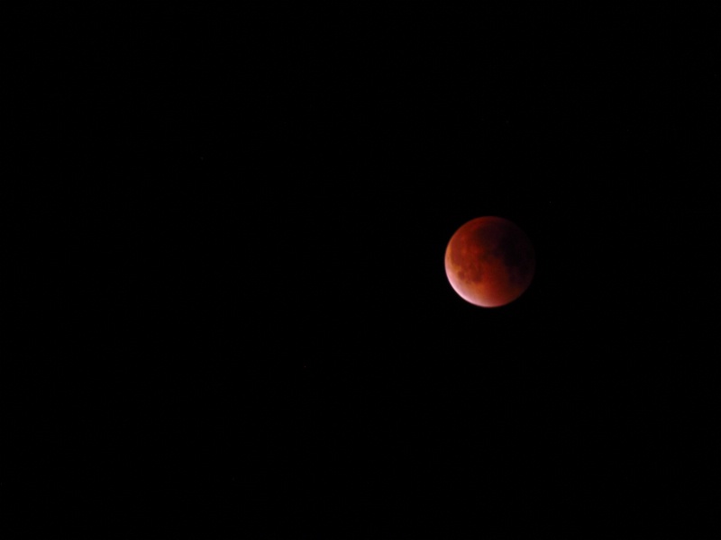 Blood Moon - ID: 15084478 © Wendy A. Barrett