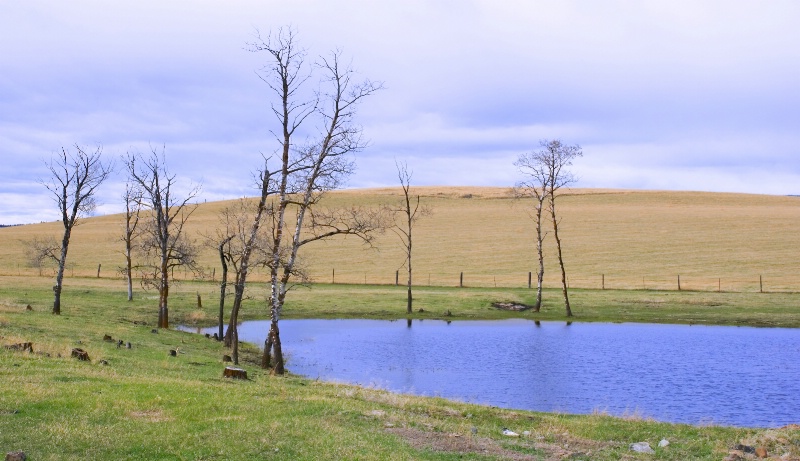 Pond on the Range