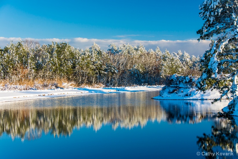 Swan Lake In Winter