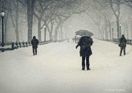 A Walk on a Winter's Day