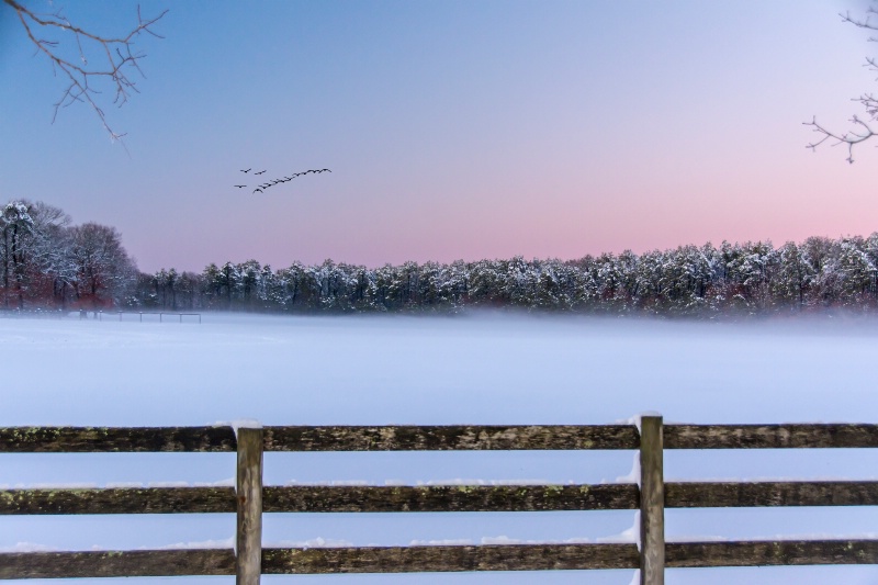 Foggy Winter Sunset