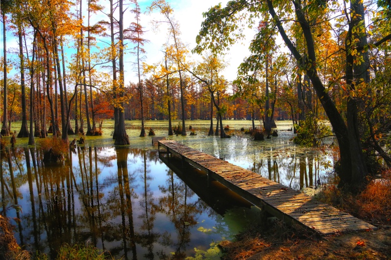 Walk into Jurassic Lake