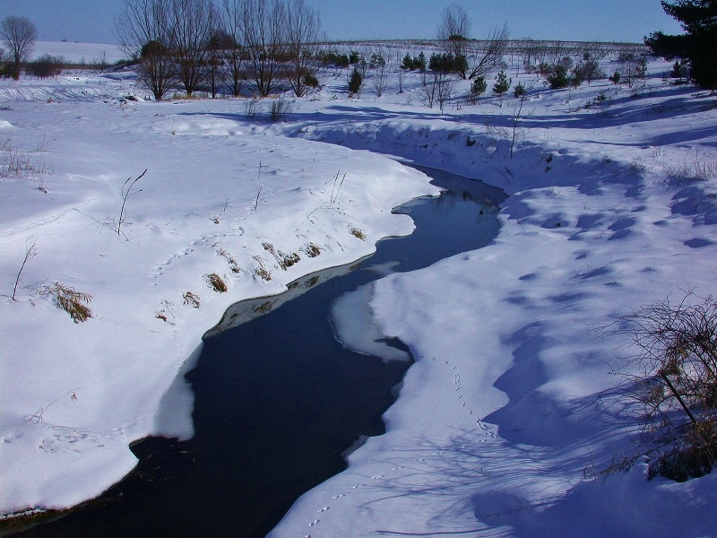 Wisconsin Winter Stream