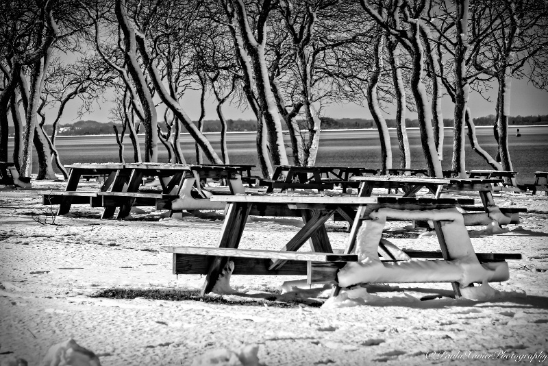 The Picnic Tables