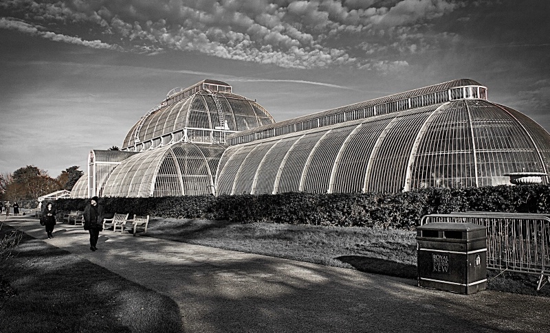 Kew Gardens Greenhouse - ID: 15086075 © David Resnikoff