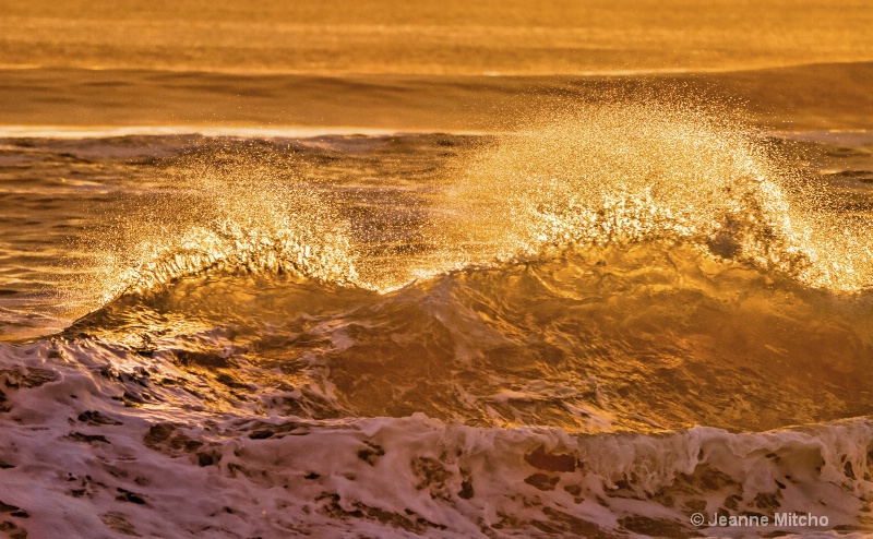 Surf's Up - ID: 15086186 © Jeanne C. Mitcho