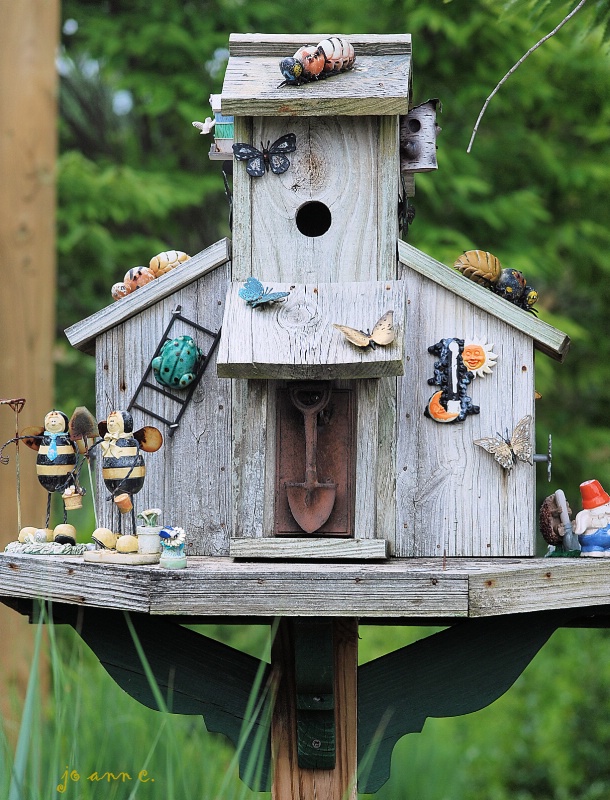  THE BIRD HOUSE...