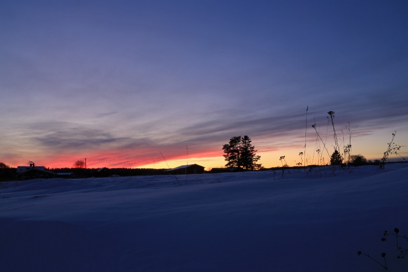 Nordic Sunset