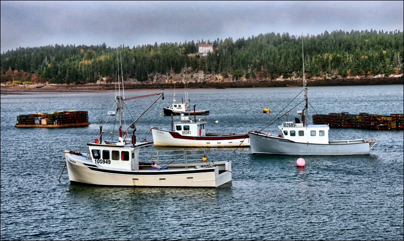 Lobster Boats 