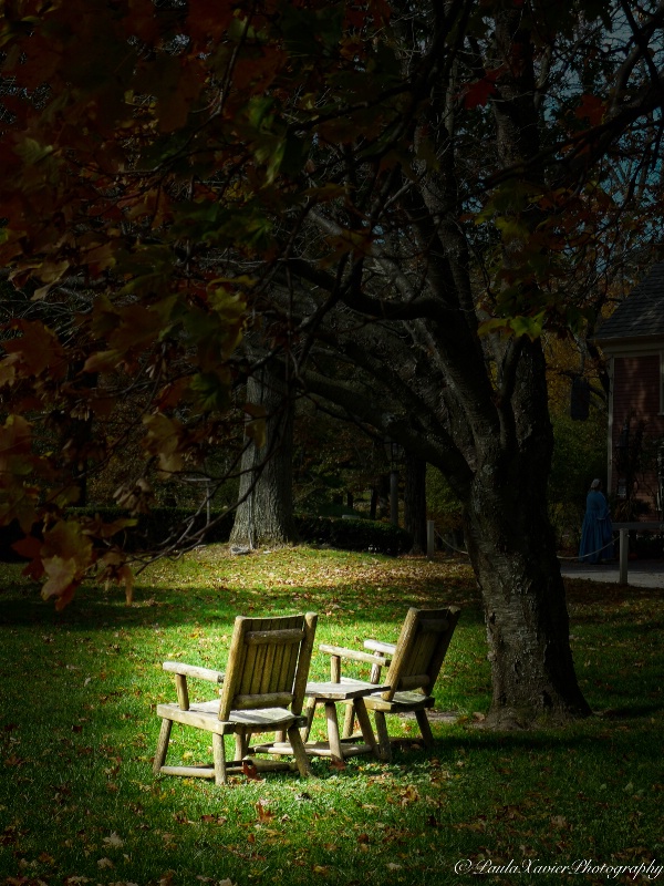 Under the Tree