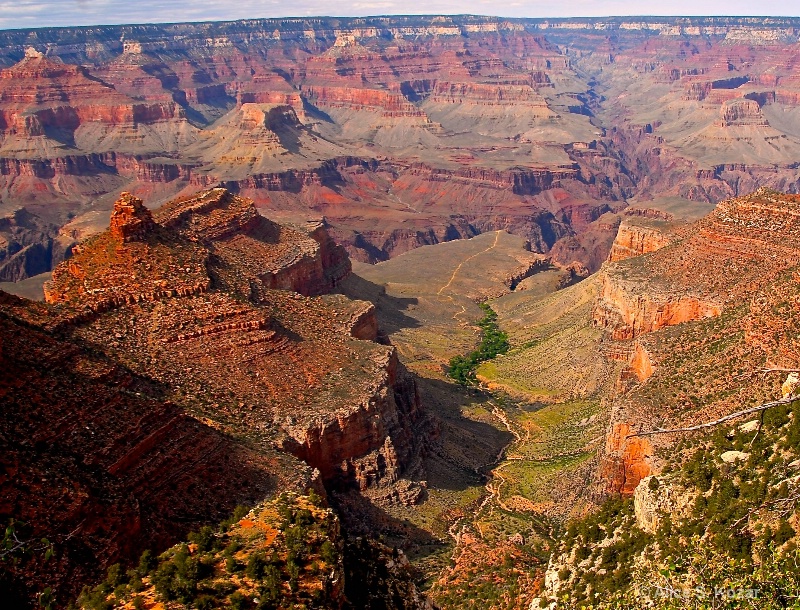 Awesome South Rim Grand Canyon - ID: 15087279 © Alice Kozar