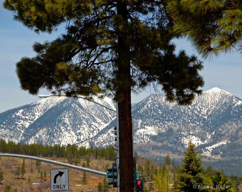May Snow - San Francisco Mt Peaks (N of Flagstaff) - ID: 15087295 © Alice Kozar