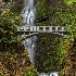 2Multnomah Falls, Columbia River Gorge - ID: 15087375 © Fran  Bastress