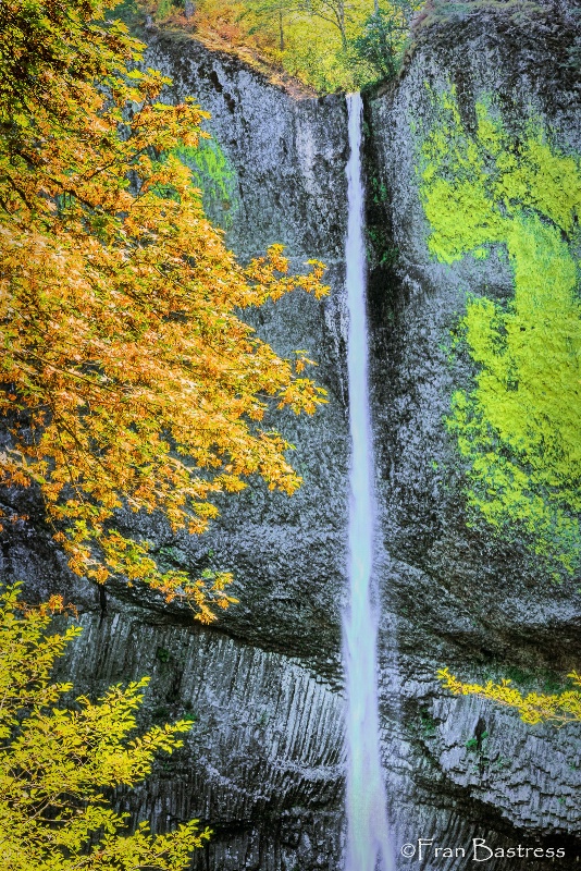 Latourell Falls, Columbia River Gorge - ID: 15087376 © Fran  Bastress