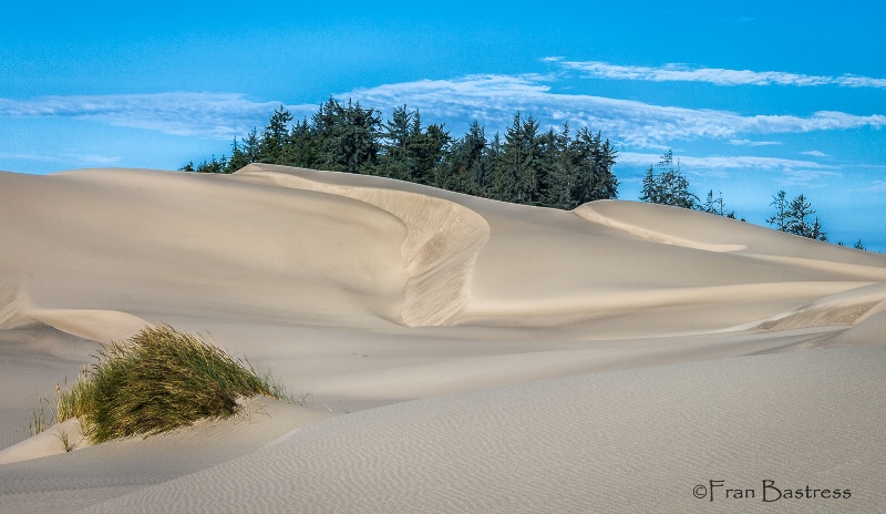 Umpqua Dunes, Oregon Coast - ID: 15087414 © Fran  Bastress