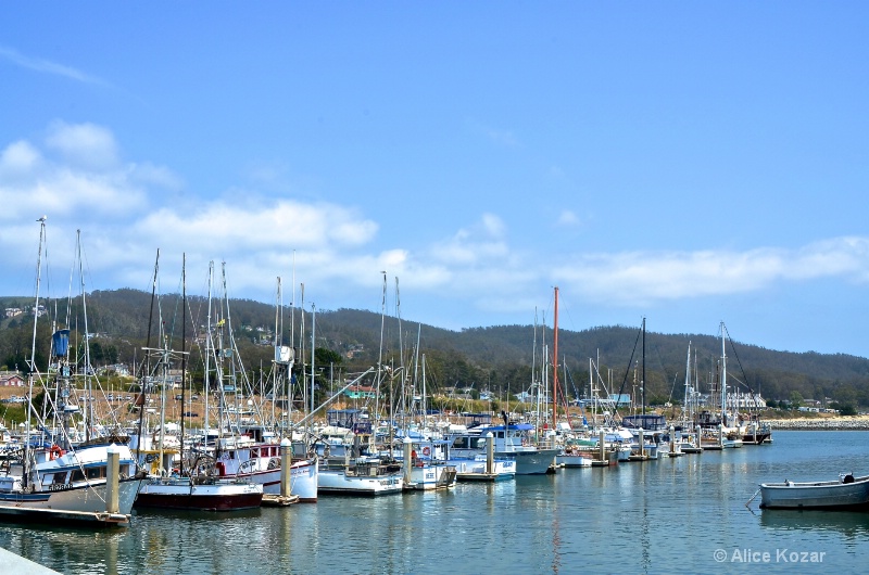 Harbor Fleet Half Moon Bay - ID: 15087500 © Alice Kozar