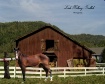 Horse & Barn 