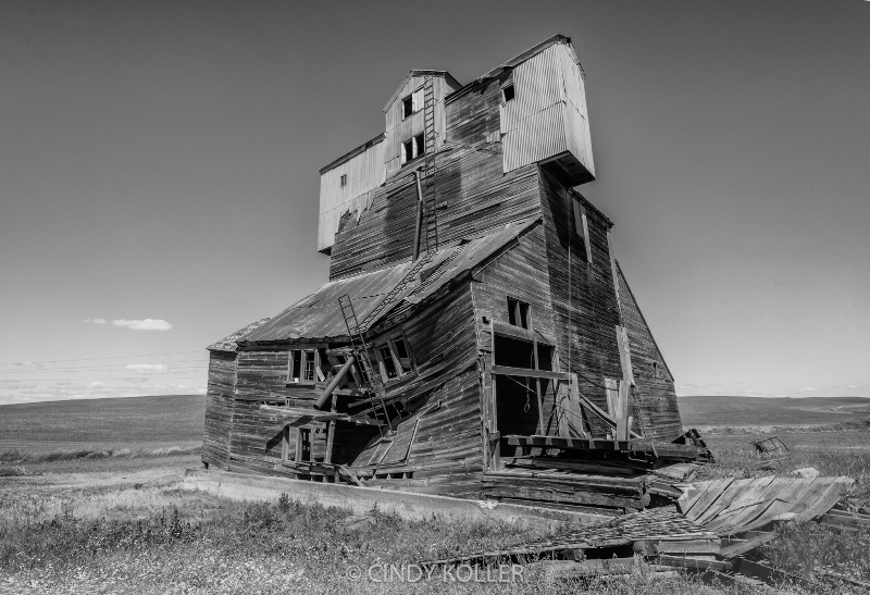 That Amazing ol' Abandoned Barn