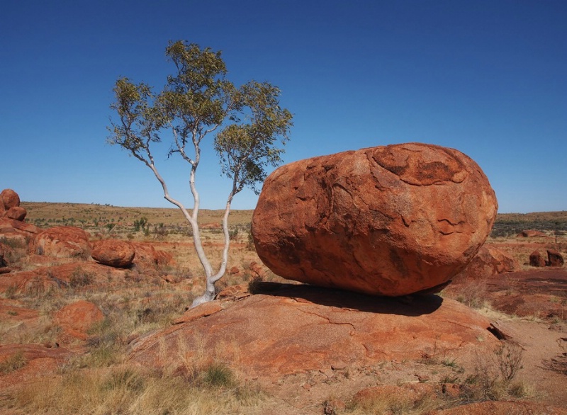 A Rock & A Tree