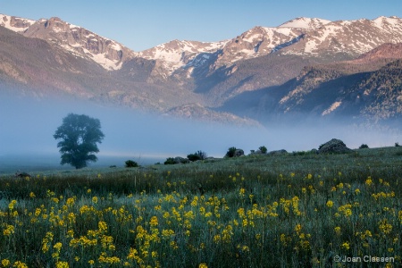 Summer in Colorado