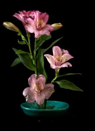 Ikebana Flowers