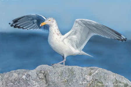 In His Glory