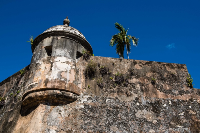 Castle in San Juan, Puerto Rico - ID: 15088739 © Larry Heyert