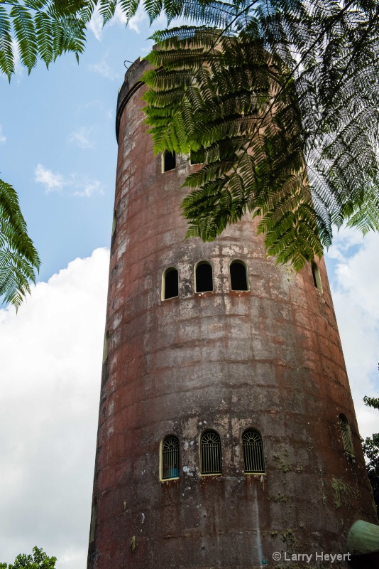 Tower at El Yunque National Forest - ID: 15088747 © Larry Heyert
