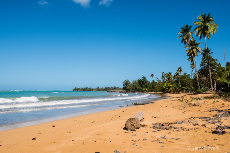 Beach Near San Juan, Puerto Rico - ID: 15088753 © Larry Heyert