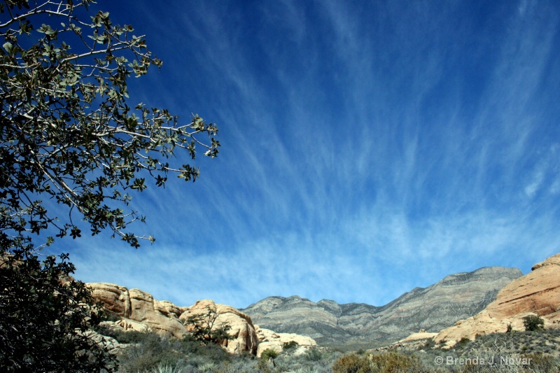 Wispy Clouds