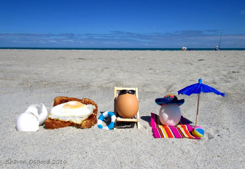 Life of Egg 5: Beach Day