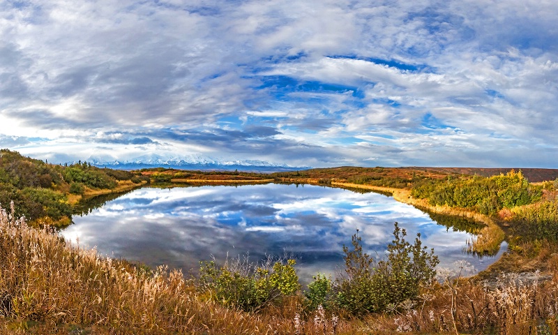 Reflection Pond   