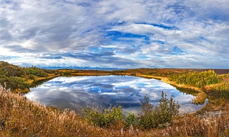 Reflection Pond   