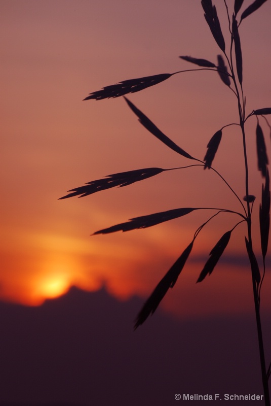 Distant Sunset